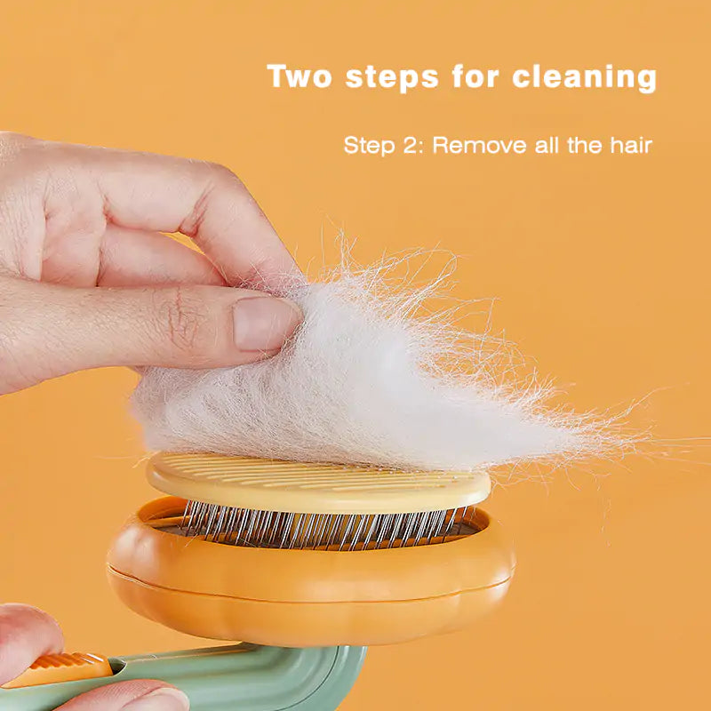 Self Cleaning Pumpkin Pet Slicker Brush