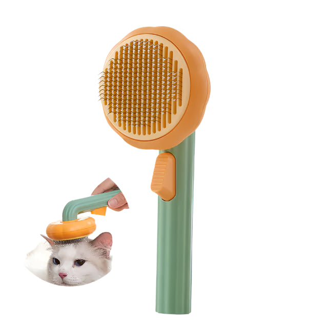 Self Cleaning Pumpkin Pet Slicker Brush